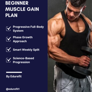 Beginner Muscle Gain Plan